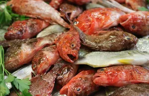 Chibombo Anakadzi
